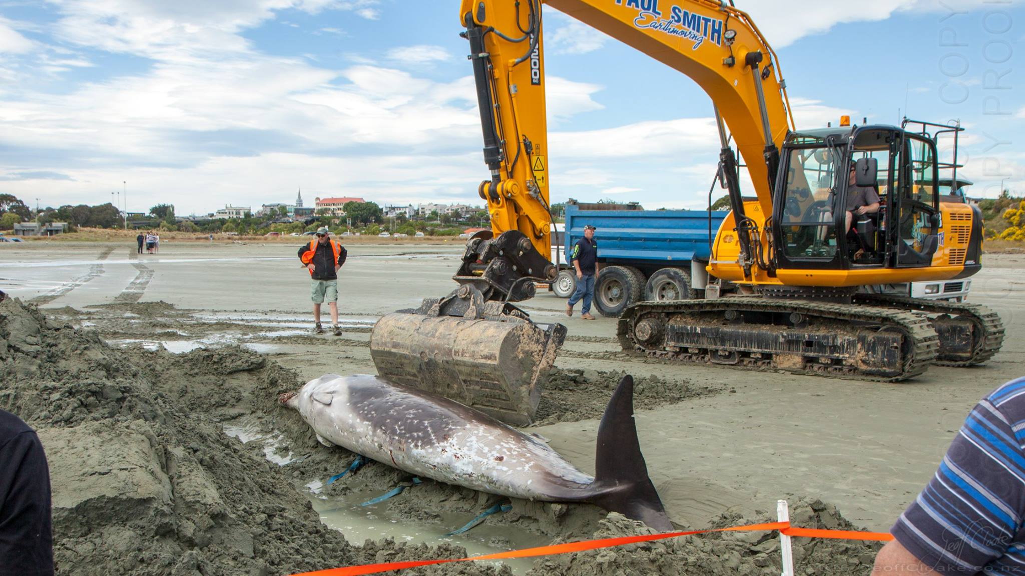 465592617 9126490057383566 2274419573264055812 n