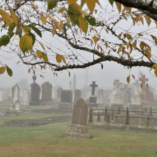 Grave of Samuel Williams Yankie Sam Timaru Whaler Roselyn Fauth