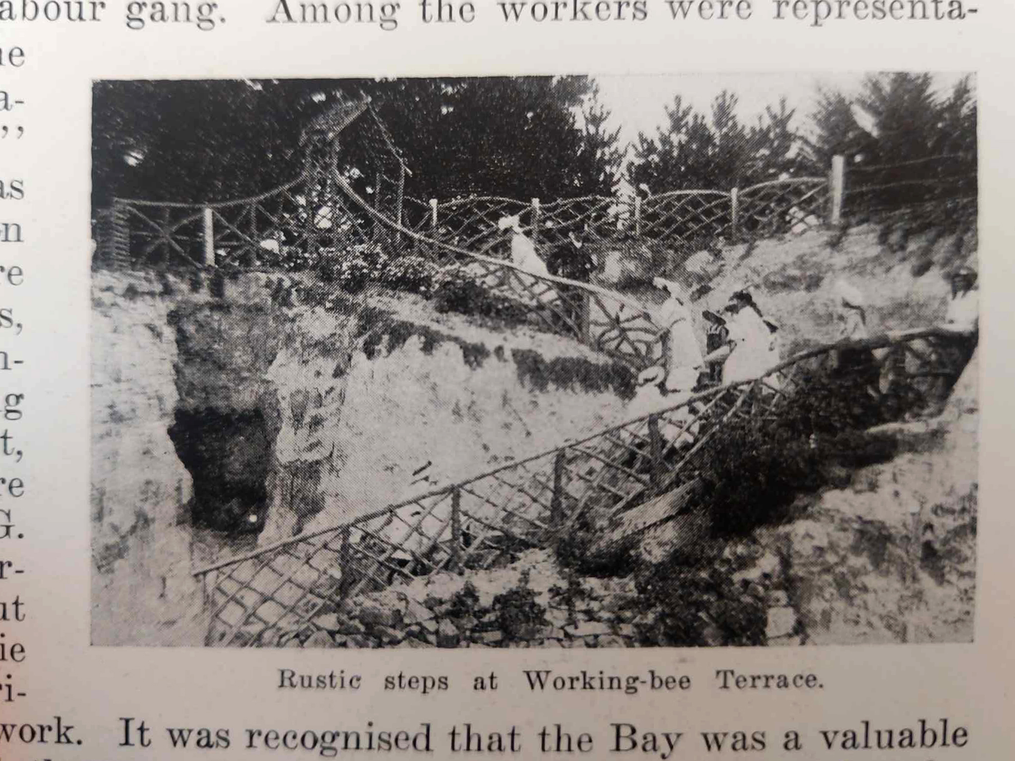 Rustic Steps at Working Bee Terrace South Canterbury Jubalee History 1916 photo from book