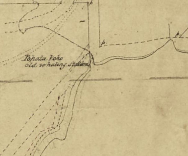 Pohatukoko whaling station